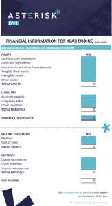 BVI Annual Return Template Sample